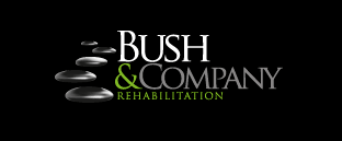 Bush logo